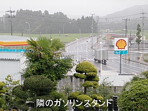 �摜