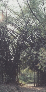 摜15